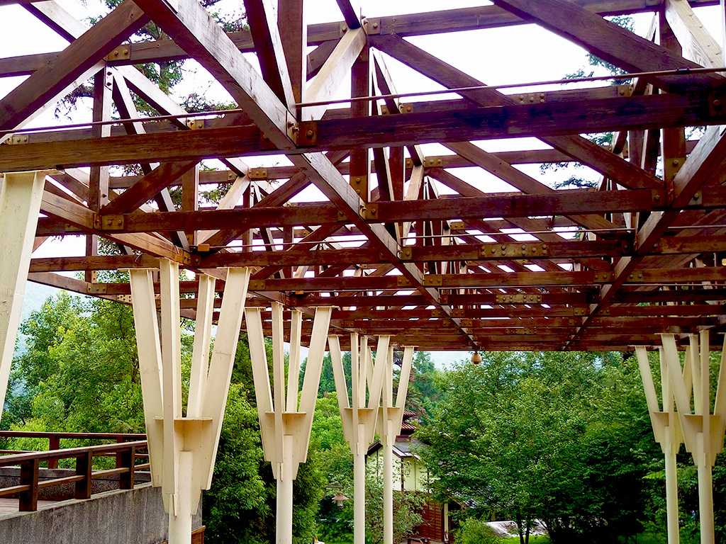 杉林溪‧溪頭森態之旅三日遊(高鐵台中站出發)