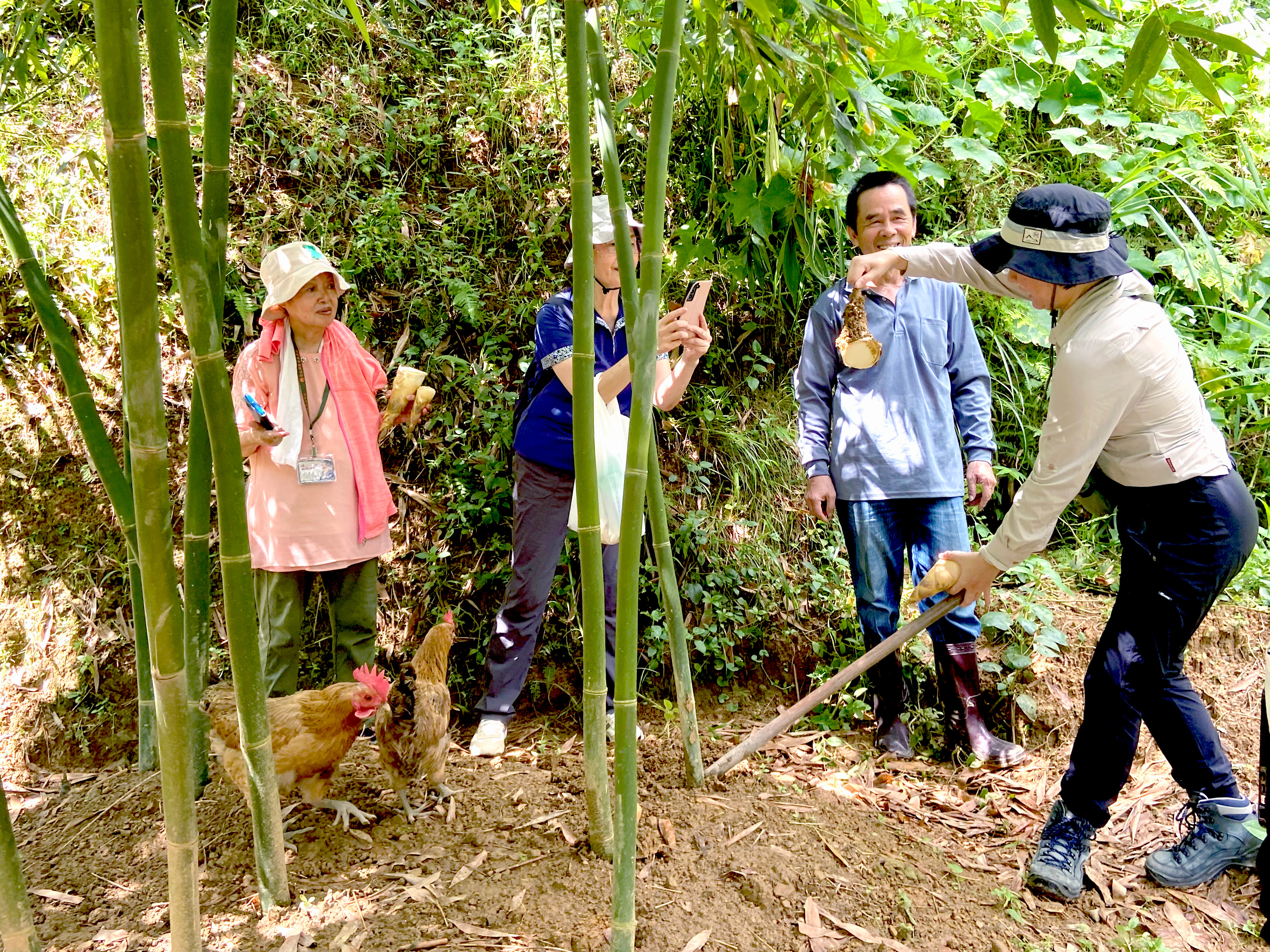 小編跟著原森旅行去-來去農家DO一日~
五閒來寮‧三峽尋筍小旅行
