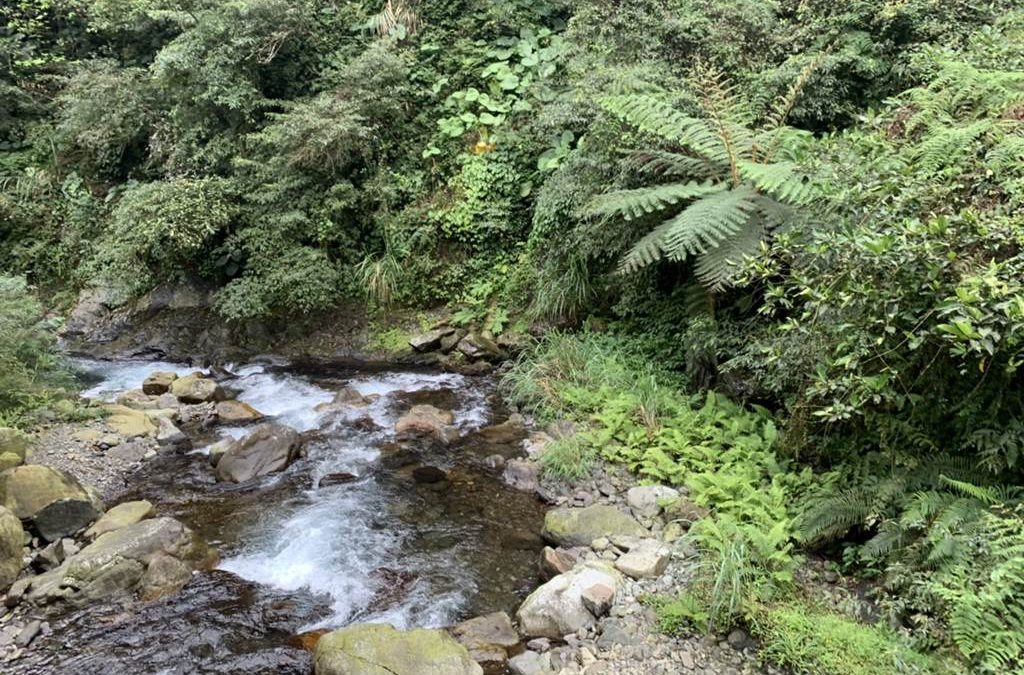 不一樣的旅行-雪山山脈下的故事－水水九寮溪.蜻蜓石農樂趣