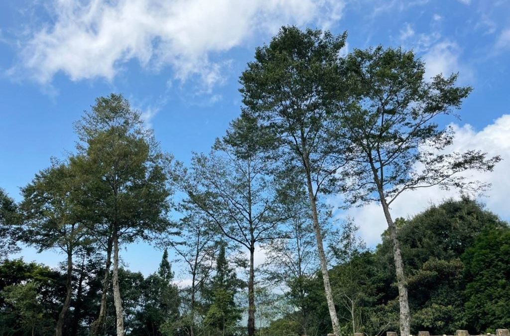 原森旅行2020~2022年永續行動