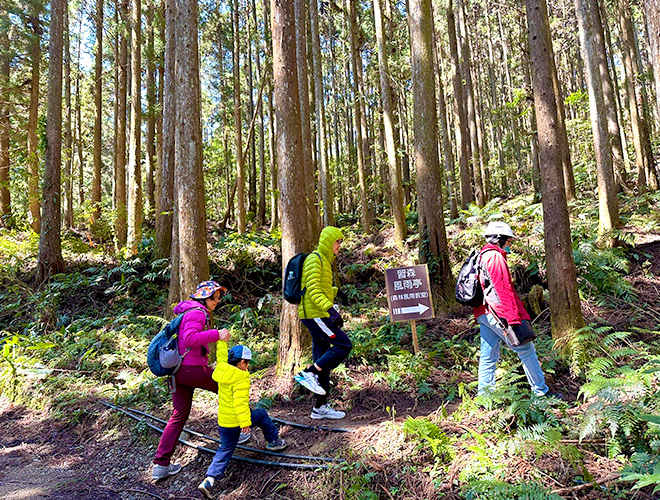 玉珍老師記遊~走入我們的森林‧見學ㄧ日趣