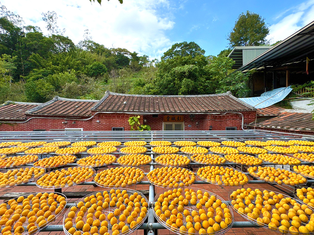 無障礙服務客製化說明