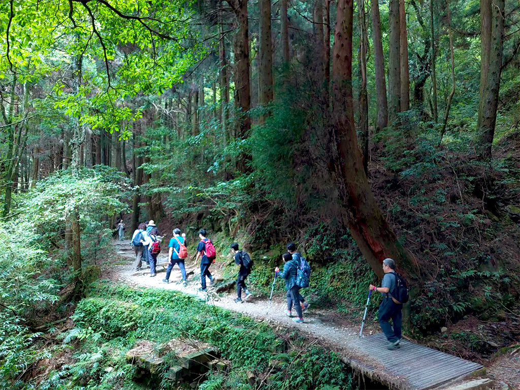 走入雲霧畫境～大雪山森態之旅二日遊
