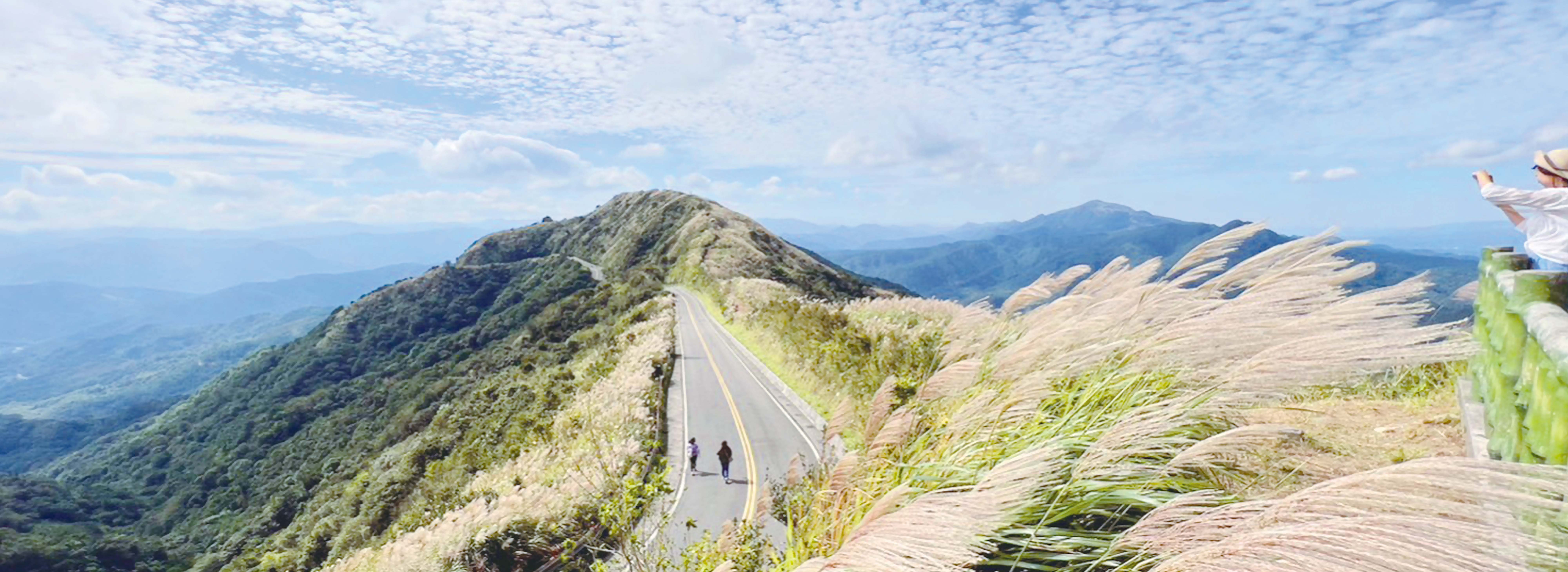 芒花季系列行程