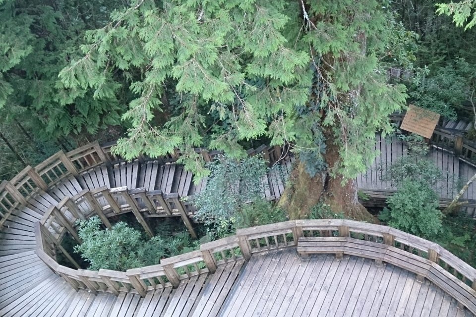 明池.棲蘭神木園森態之旅二日遊