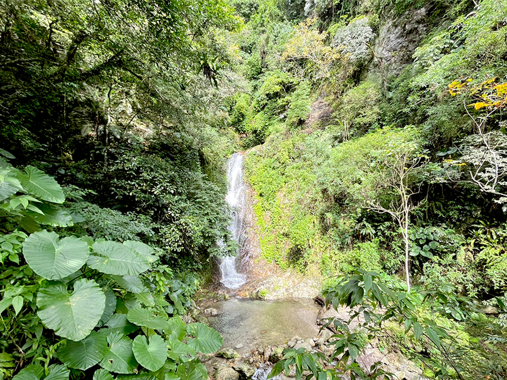 池南鯉魚山健行‧在壽豐『玉』見香草之旅二日遊