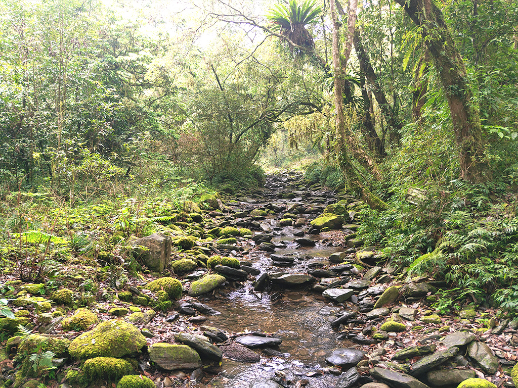 森森不息～福山植物園生態之旅一日遊