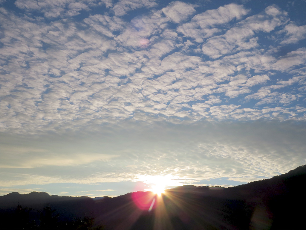 觀霧雪霸森態小旅行二日遊(高鐵新竹站出發)
