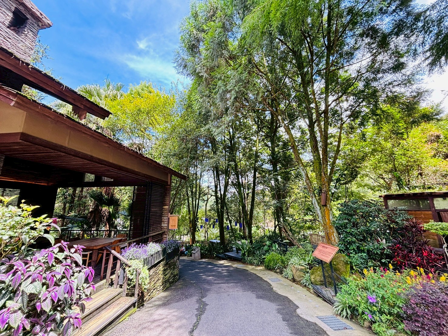 ｜永續農遊｜薰衣草秘境‧山海療癒小旅行