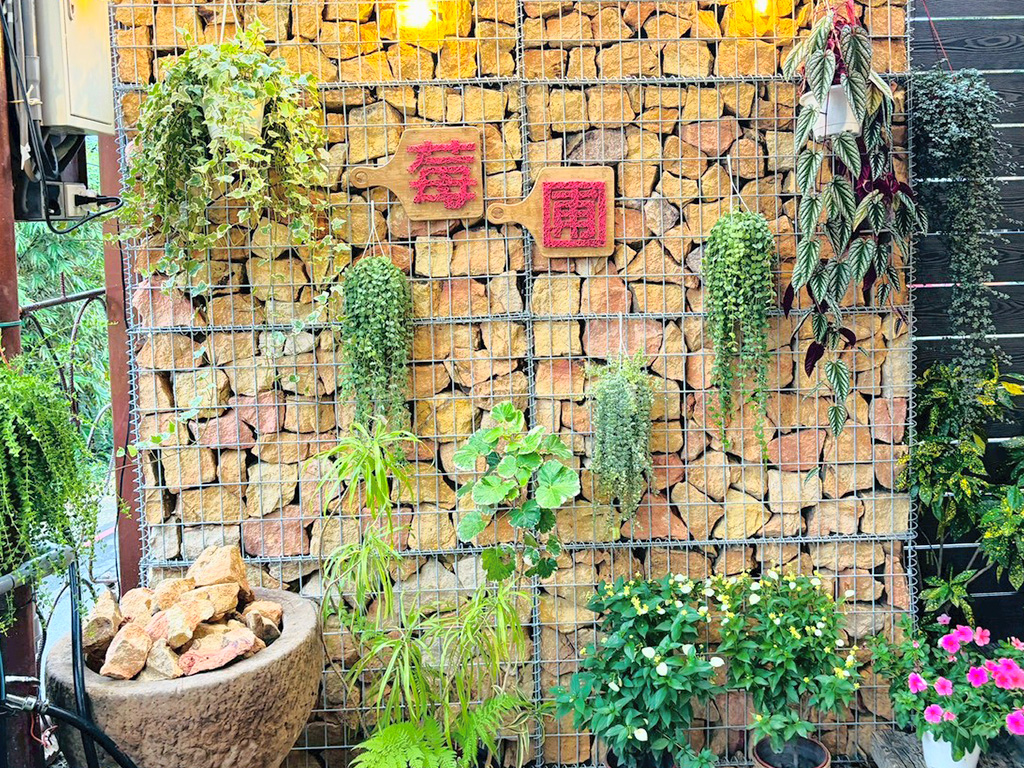 ｜永續農遊｜浪漫白石湖‧莓園採果樂小旅行