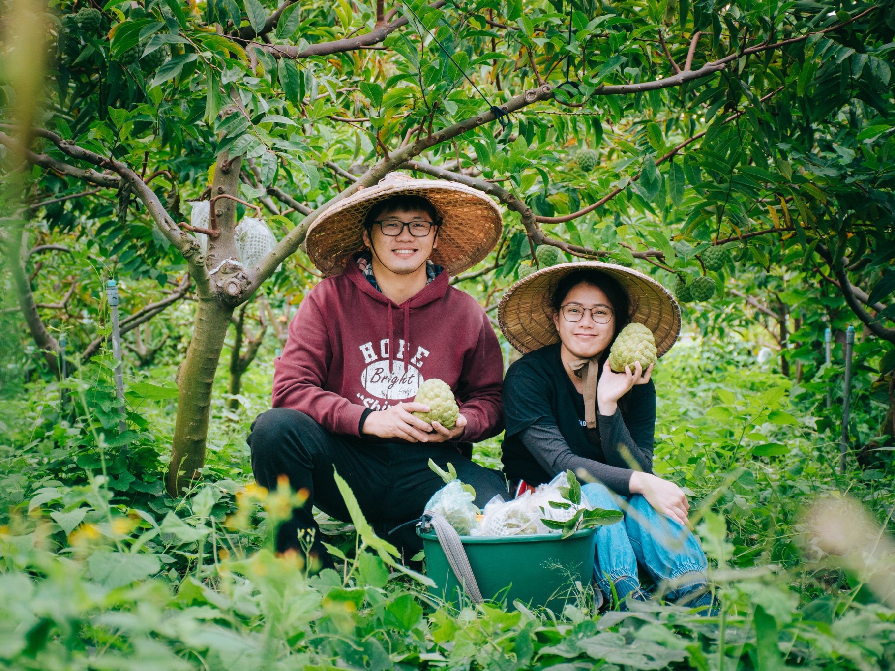 ｜永續農遊｜慢遊東台灣‧釋迦採果樂小旅行