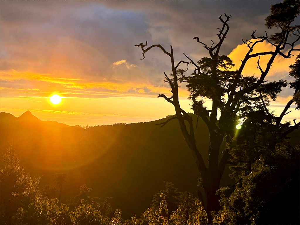 走入雲霧畫境～大雪山森態之旅三日遊
