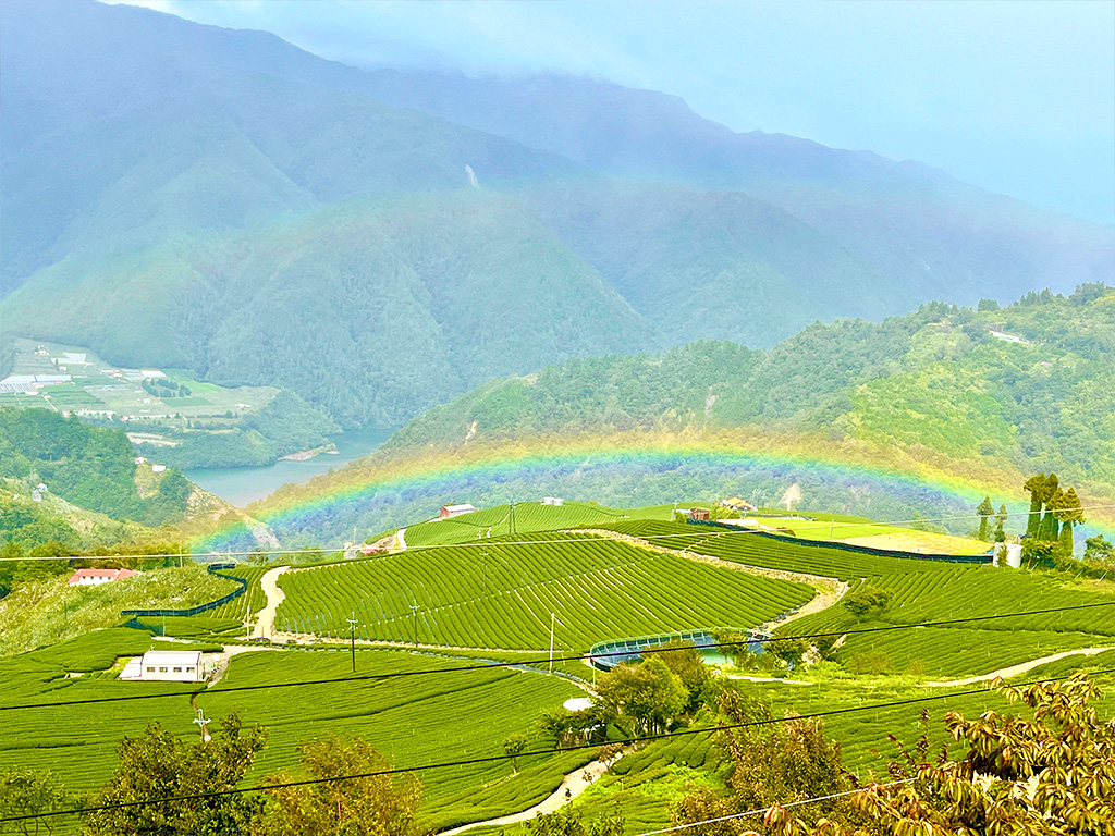 泰雅秘境‧武陵梨山茶園獵徑探索之旅三日遊