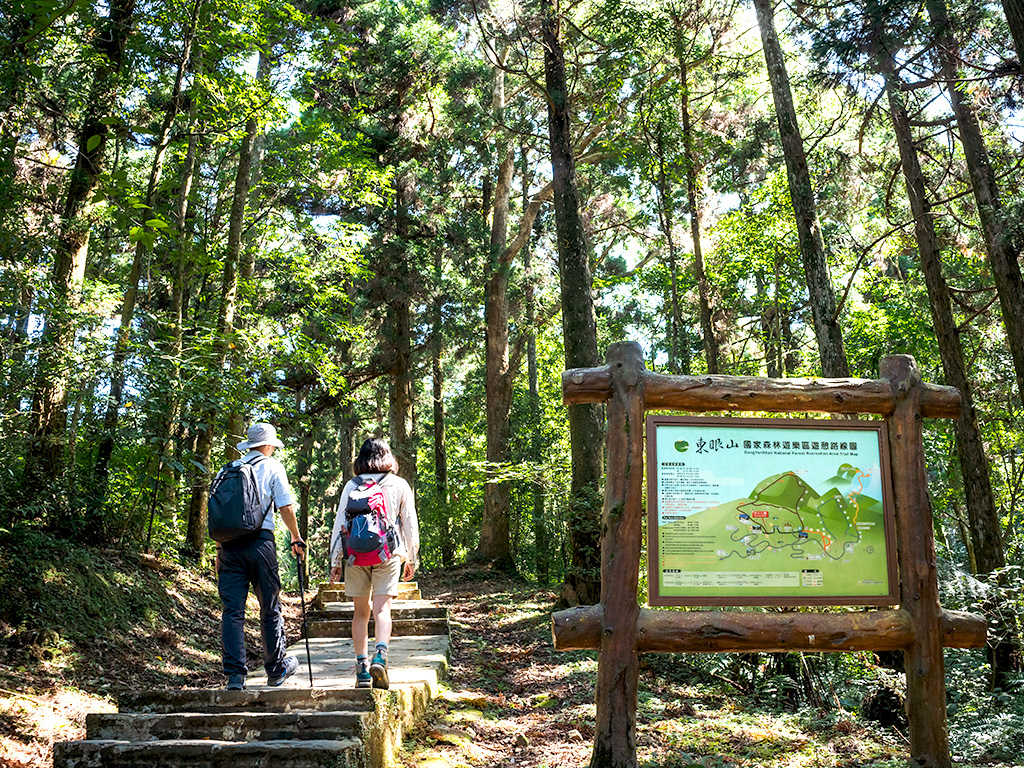 東眼山森態小旅行一日遊
