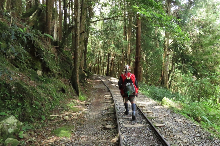 特富野古道mimiyo二日遊(全程)(高鐵嘉義站出發)