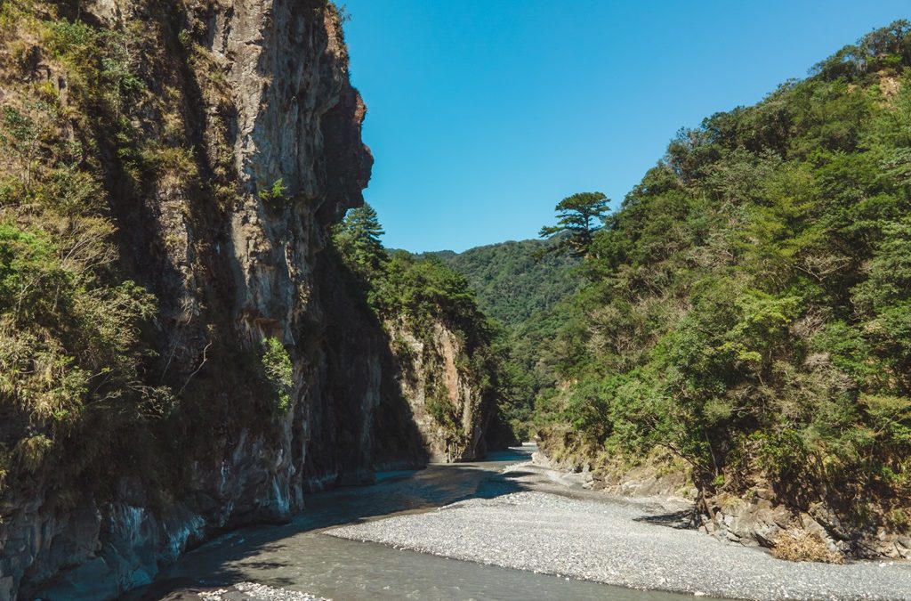 奧萬大森林癒.松林.曲冰部落采風三日遊(高鐵台中站出發)