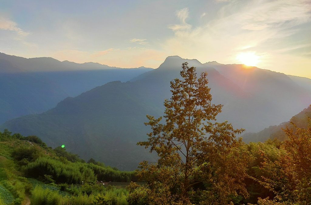 鎮西堡巨木森遊野趣二日遊(金質旅遊獎)(新竹高鐵站出發)