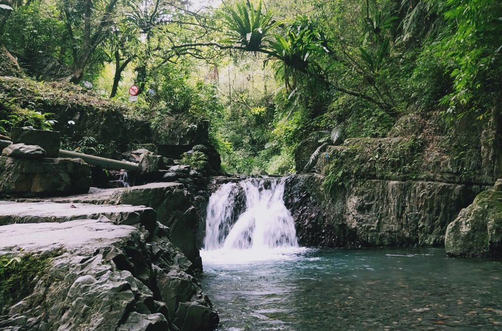 輕鬆遊林美‧無尾港賞鳥趣一日遊