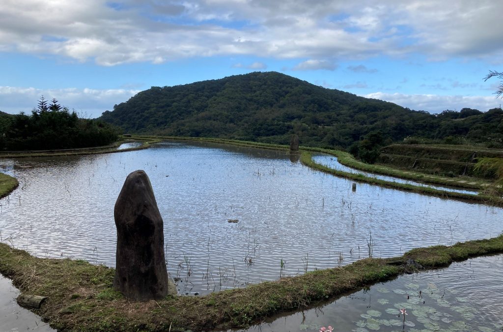 品味新北.魅力農村~六三嵩山94遊(金山石門線)