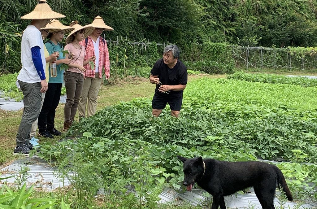 穿閱東北角岬灣‧蜻蜓石食農旅行一日遊