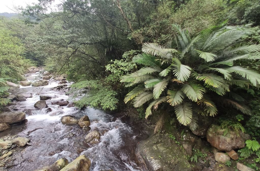 松羅步道漫旅‧走讀羅東林業一日遊